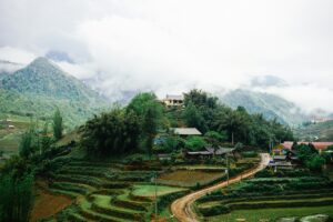 Kinh nghiệm du lịch Sa Pa tự túc ngắm cảnh yên bình mờ sương